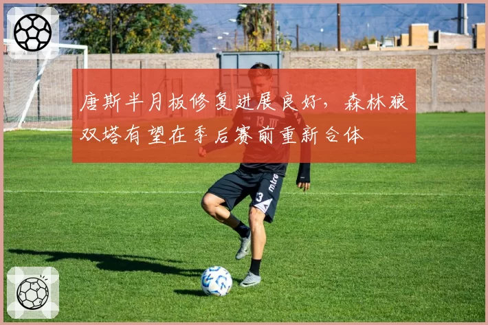 唐斯半月板修复进展良好，森林狼双塔有望在季后赛前重新合体