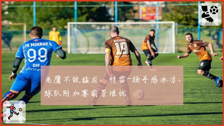 老鹰不敌猛龙,特雷-杨手感冰凉,球队附加赛前景堪忧