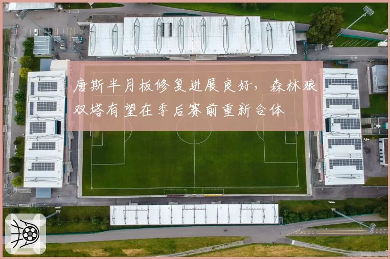 唐斯半月板修复进展良好，森林狼双塔有望在季后赛前重新合体