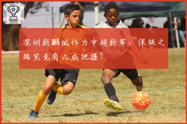 深圳新鹏城作为中超新军,保级之路究竟有几成把握?