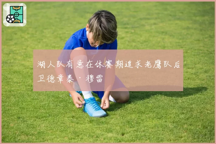 湖人队有意在休赛期追求老鹰队后卫德章泰·穆雷