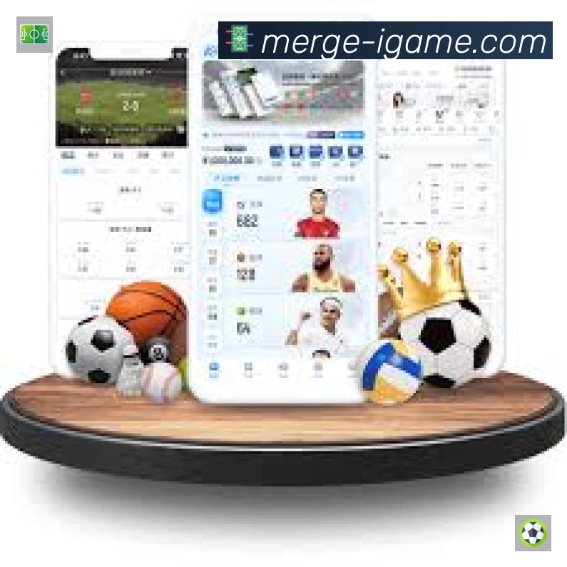 结构优化认证展示